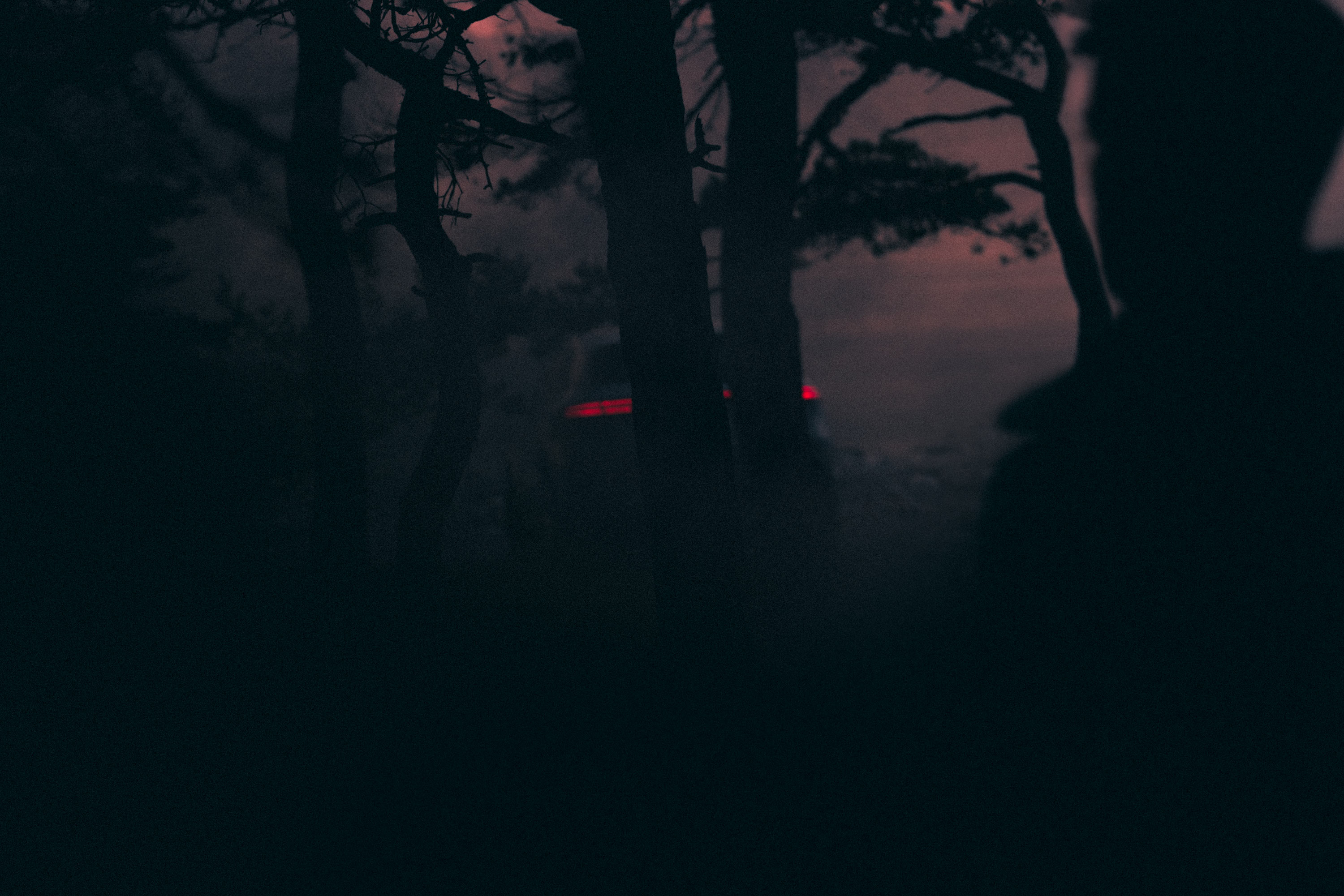 Frederic Schlosser Photography