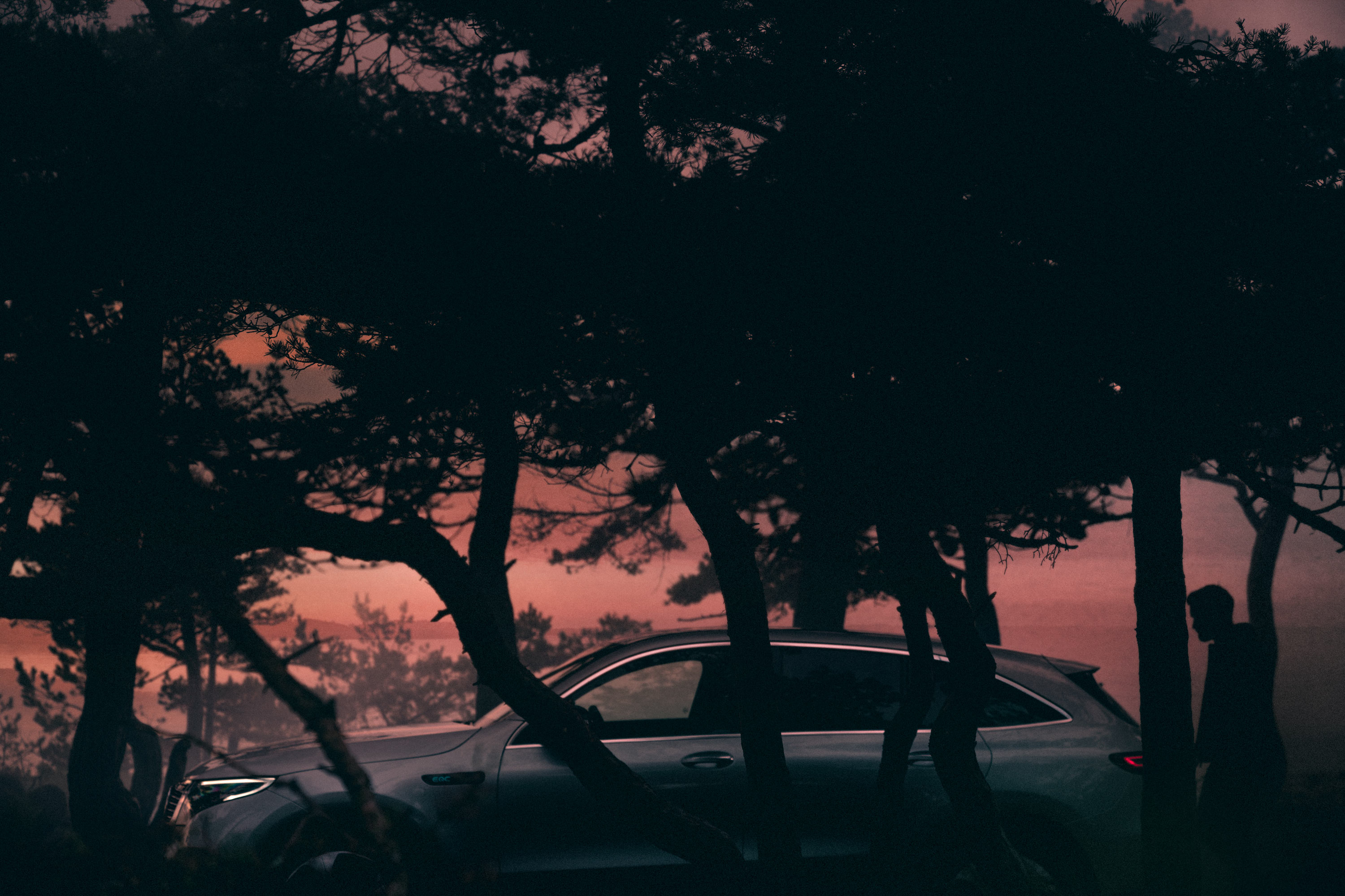 Frederic Schlosser Photography